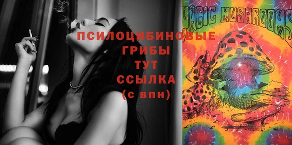 кокс Алексин
