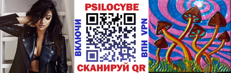 Псилоцибиновые грибы прущие грибы  Андреаполь 
